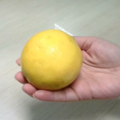 MUTIARA CINTYA ELYSSA