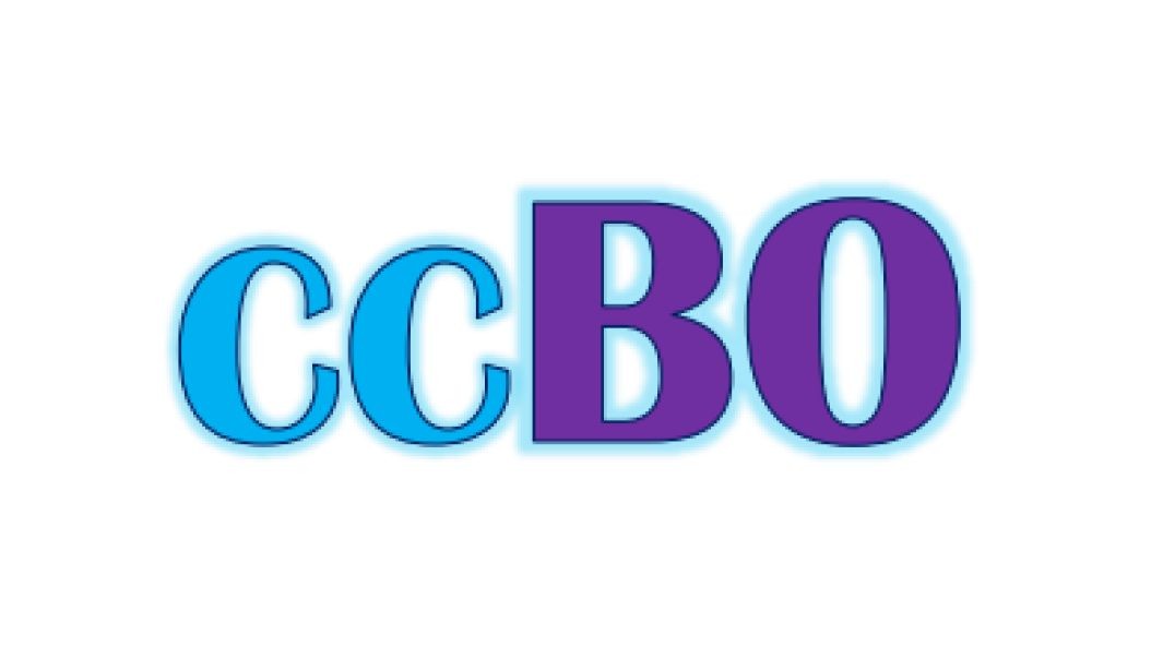 BIC 2024 - PENGEMBANGAN CREDIT CARD BIOMETRIC ONLINE PADA MYBCA DAN APOS TAHUN 2024